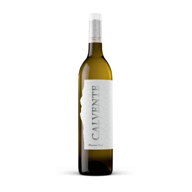 CALVENTE GUINDALERA 2023 - HVIDVIN